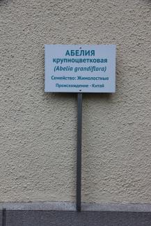 Информационные указатели